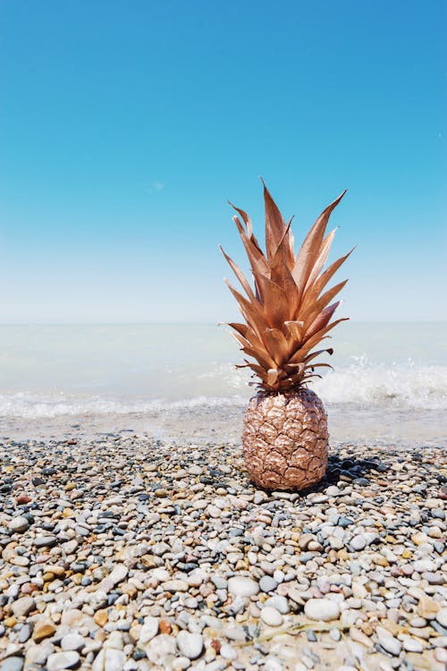 бесплатная Фото расписных ананасов на галечном пляже Стоковое фото