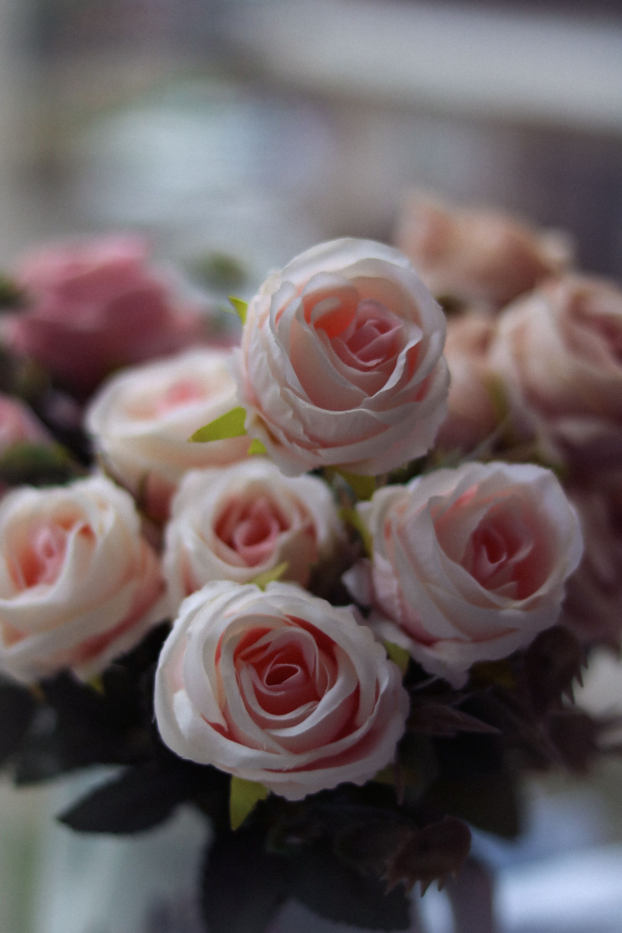 [ColoSach]-a-beautiful-close-up-of-a-delicate-pink-rose-bouquet,-showcasing-soft-petals-and-natural-elegance.