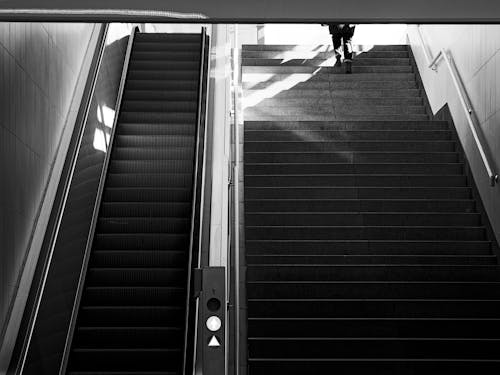 Fotobanka s bezplatnými fotkami na tému čierny a biely, eskalátor, eskalátory