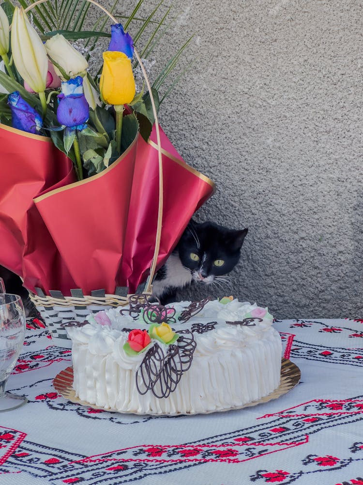 Cat Behind Cake