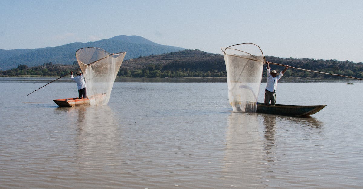 Lake Fishing Sector Update: Adaptation and Innovation