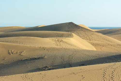 Gratis arkivbilde med fotspor, ørken, sand