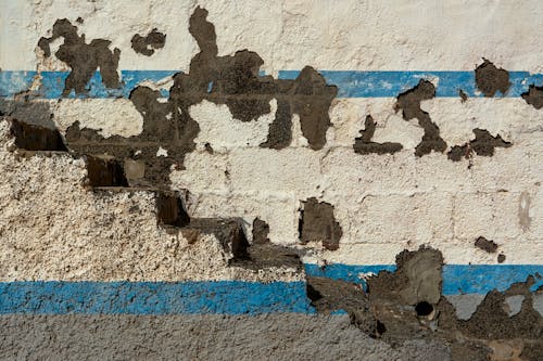 갈라진, 도시의, 벽의 무료 스톡 사진