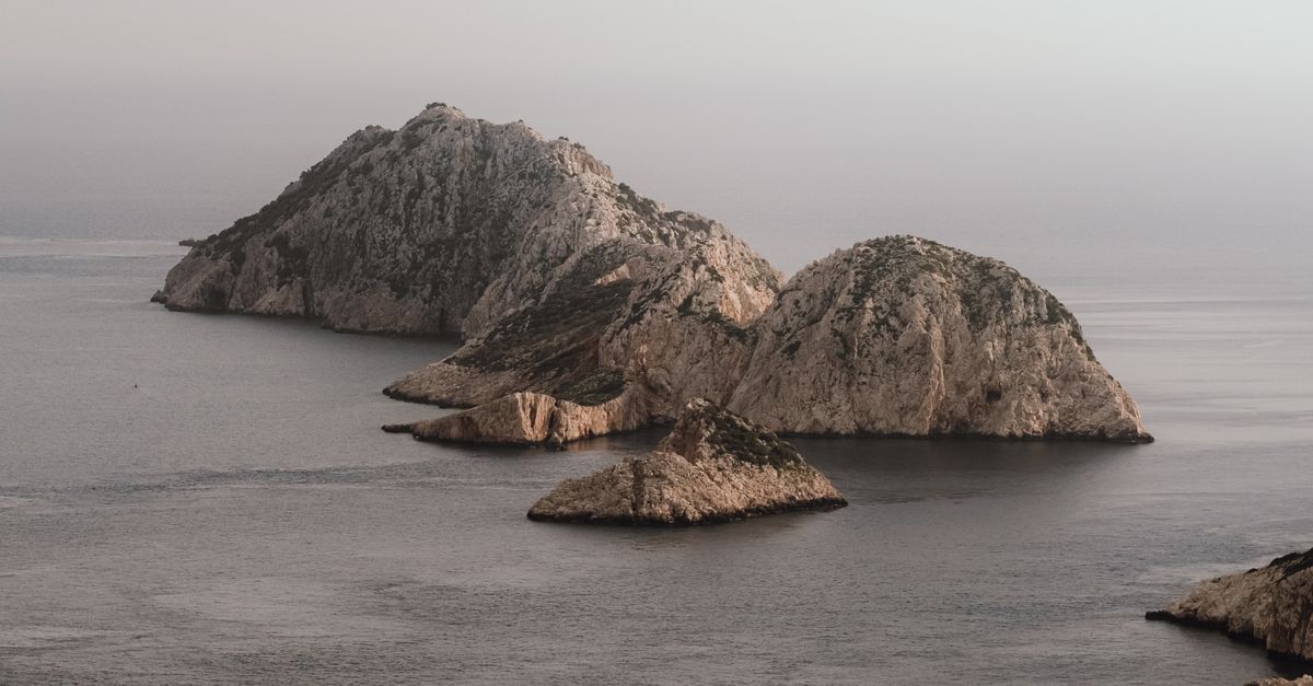 Rocks on Sea Shore near Forest · Free Stock Photo