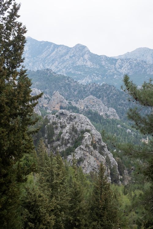 Free Dramatic mountain landscape with coniferous trees in Antalya, Türkiye. Stock Photo