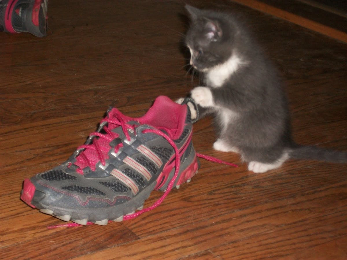 プライベートヨットクルーズ