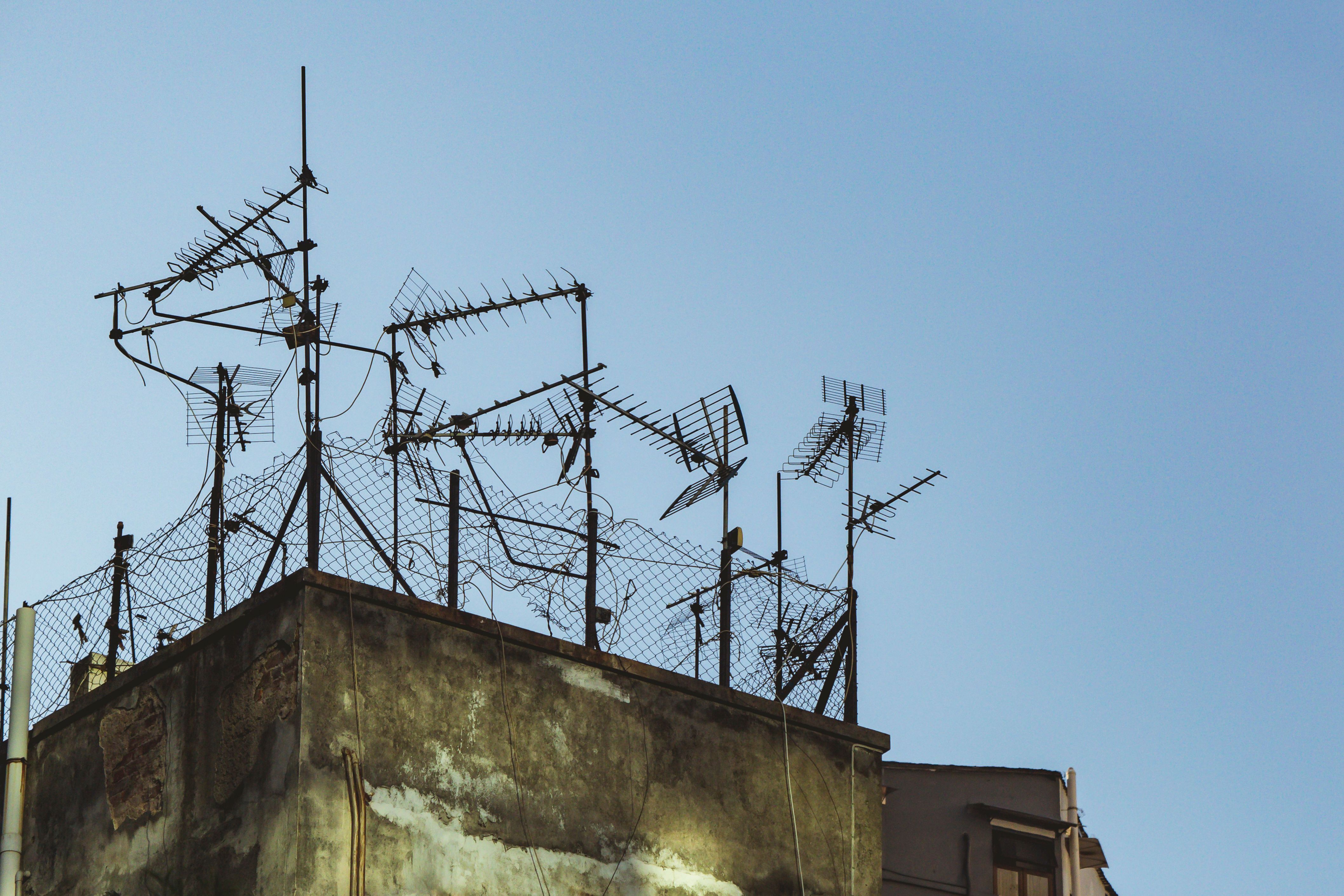 Open-source 240-antenna array aims to bounce signals off the Moon