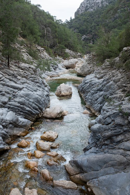 Δωρεάν στοκ φωτογραφιών με βράχια, δασικός, δέντρα