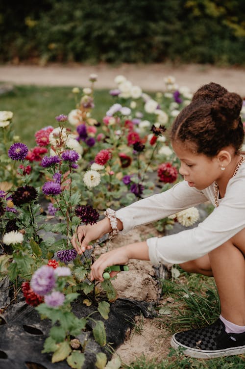 Základová fotografie zdarma na téma dítě, holka, květinový záhon