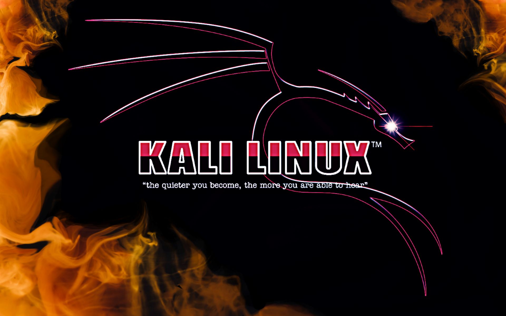 Image result for kali linux