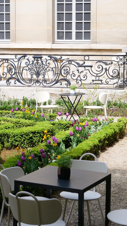 博物館, 巴黎, 花園 的 免费素材图片