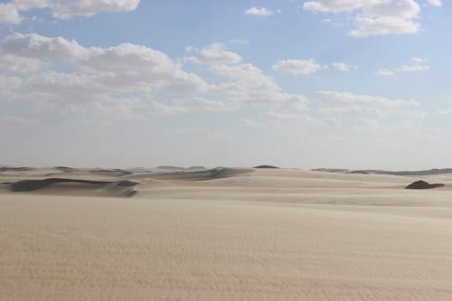 Sandy Desert with Small Dunes