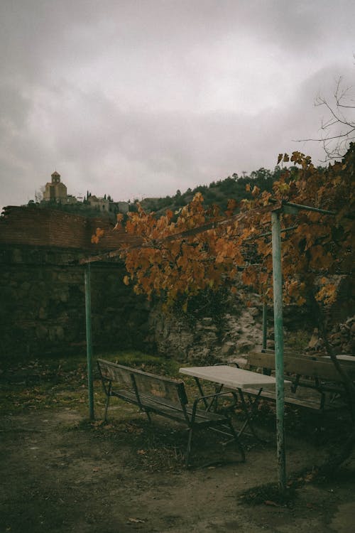 View of Benches and Table under an Autumnal Shrub and a Church on a Hill in the Background 