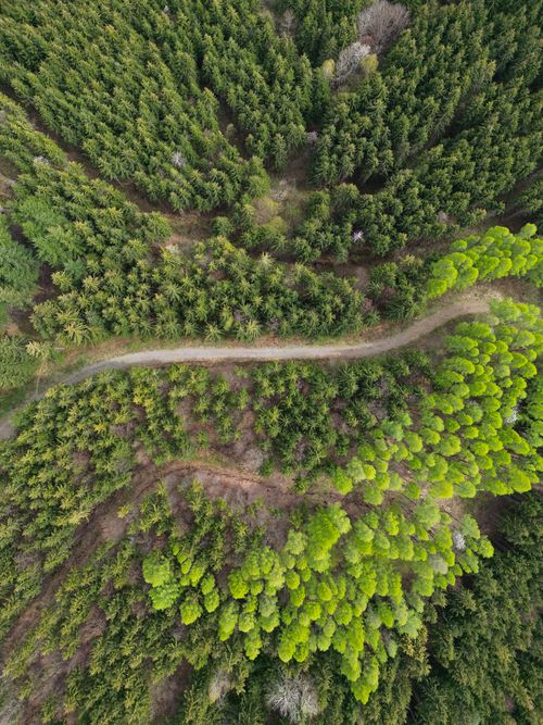 Free A stunning aerial shot showcasing the dense green forest of Žumberak, Croatia, from above. Stock Photo