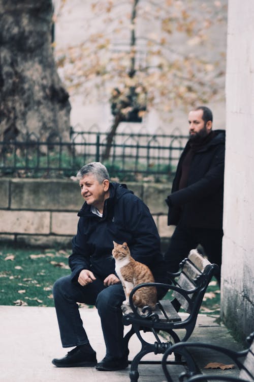 Man Sitting on a Bench with a Cat in a Park