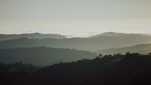 Hills Covered in Mist