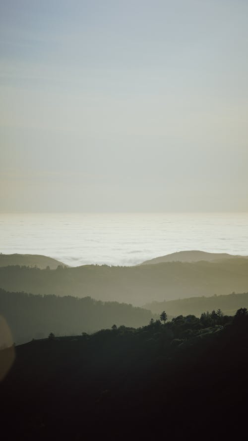 박무, 산, 새벽의 무료 스톡 사진