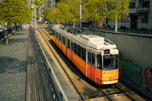 Immagine gratuita di alberi, Budapest, città