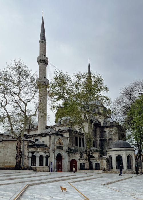 Minaret in a Mosque in Istanbul 