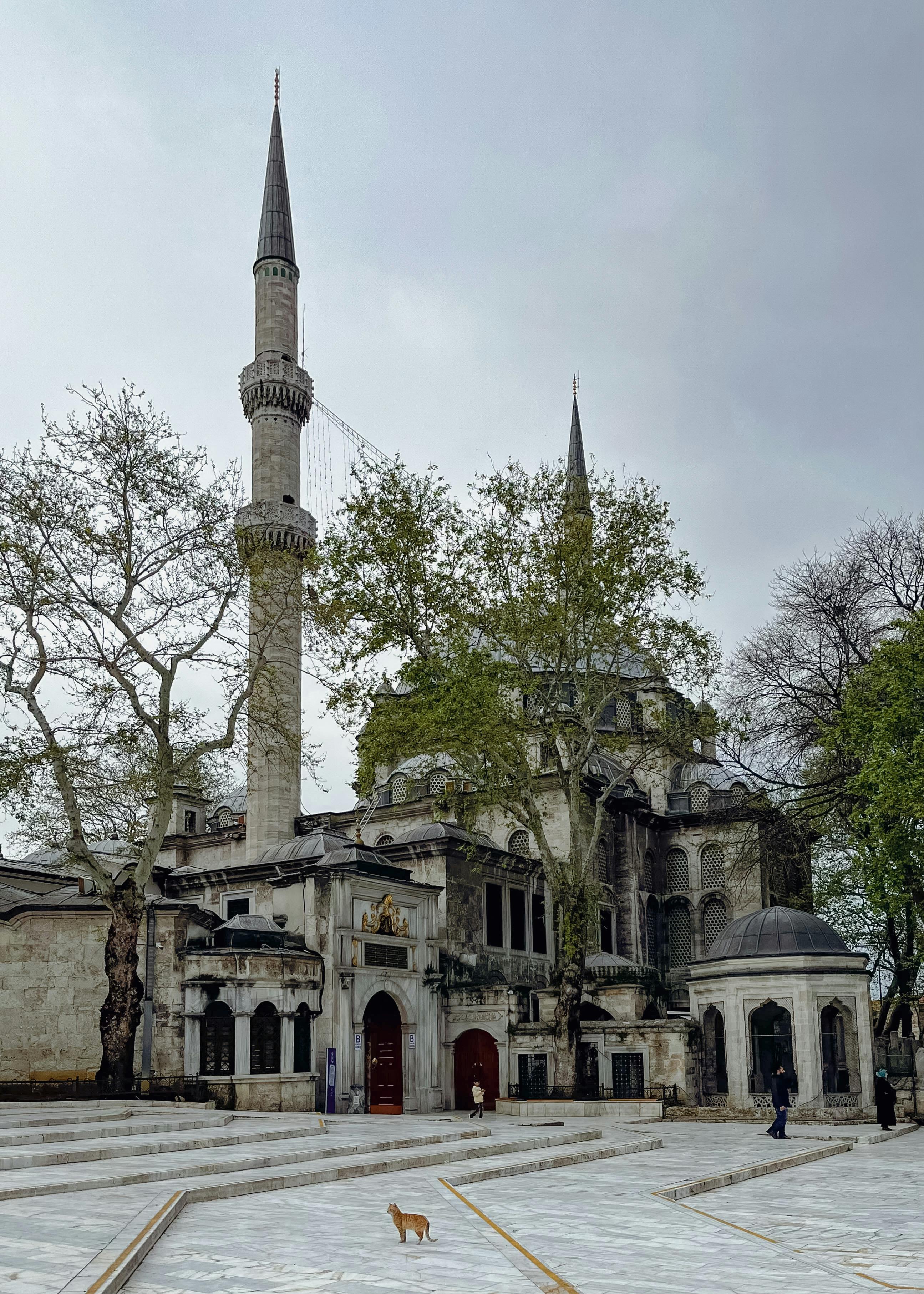 Minaret Photos, Download The BEST Free Minaret Stock Photos & HD Images