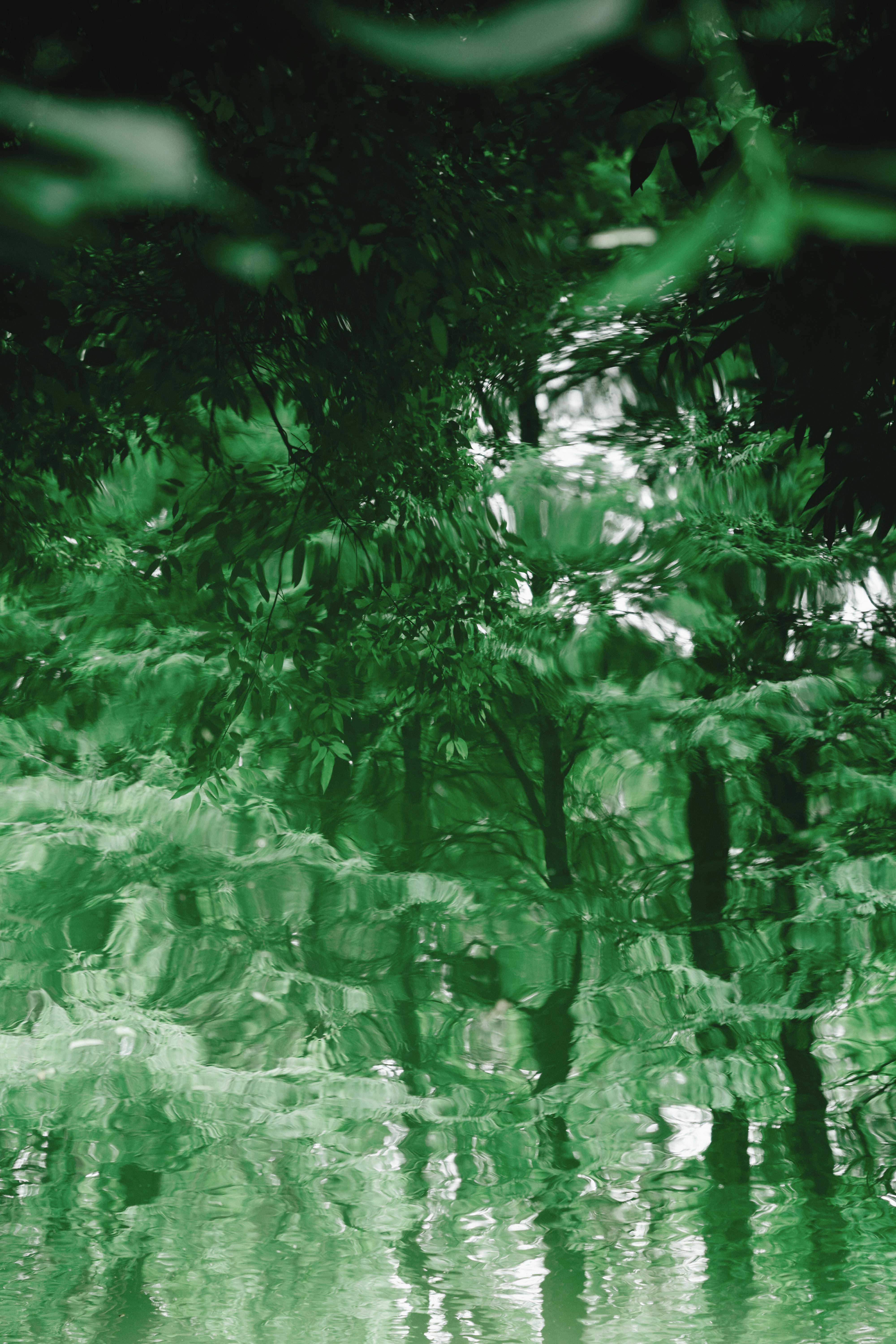 Abstract reflection of lush green trees on water creating a calming effect.