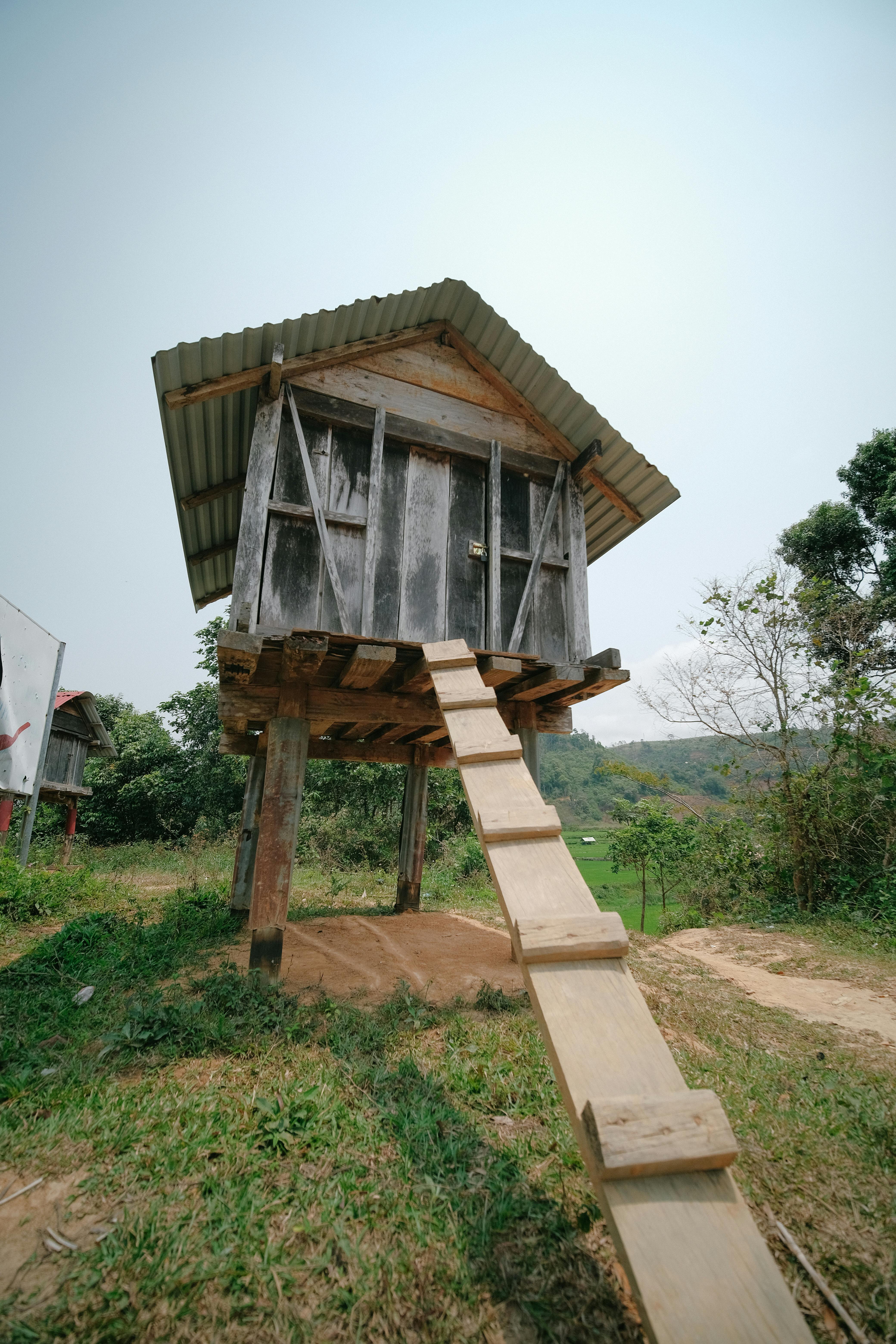 A wooden shed elevated on stilts with ladder access, set in a rural landscape.