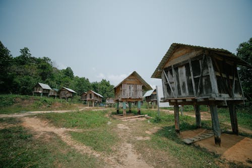 Wooden Cabins on a Farm