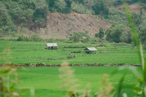 Foto profissional grátis de agrícola, área, construído