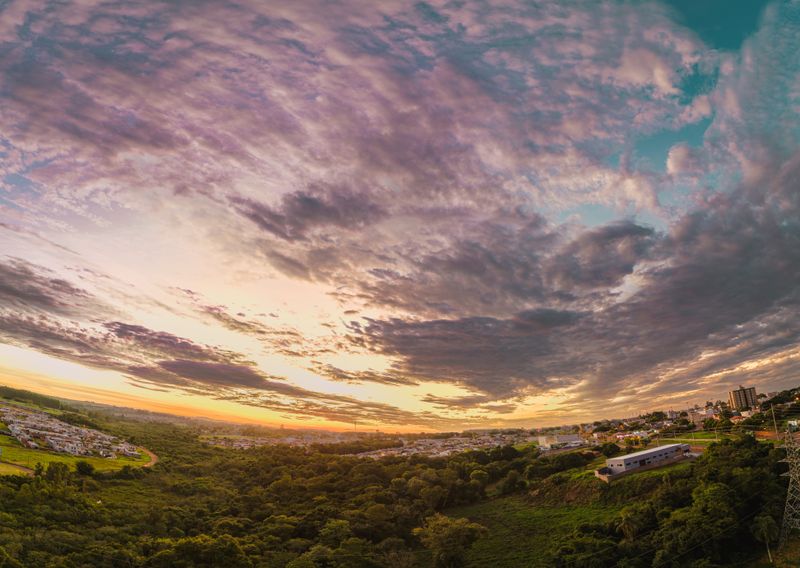 Startups em Campo Grande: O Crescimento do Ecossistema Local