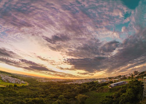 Panoramic View of a Park and City at Sunset 