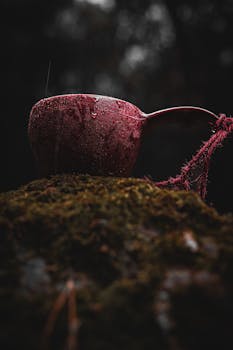 Close-up of a red cup with raindrops on a moss-covered stone, evoking calmness in a dark forest setting.
