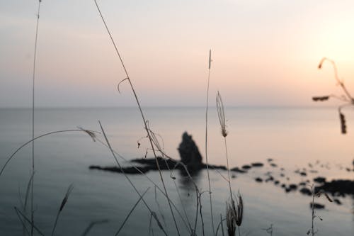 Immagine gratuita di scogliera, tramonto bellissimo, tramonto sulla spiaggia