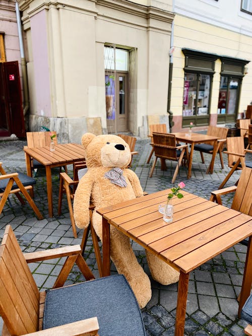 Teddy Bear Sitting at Cafe