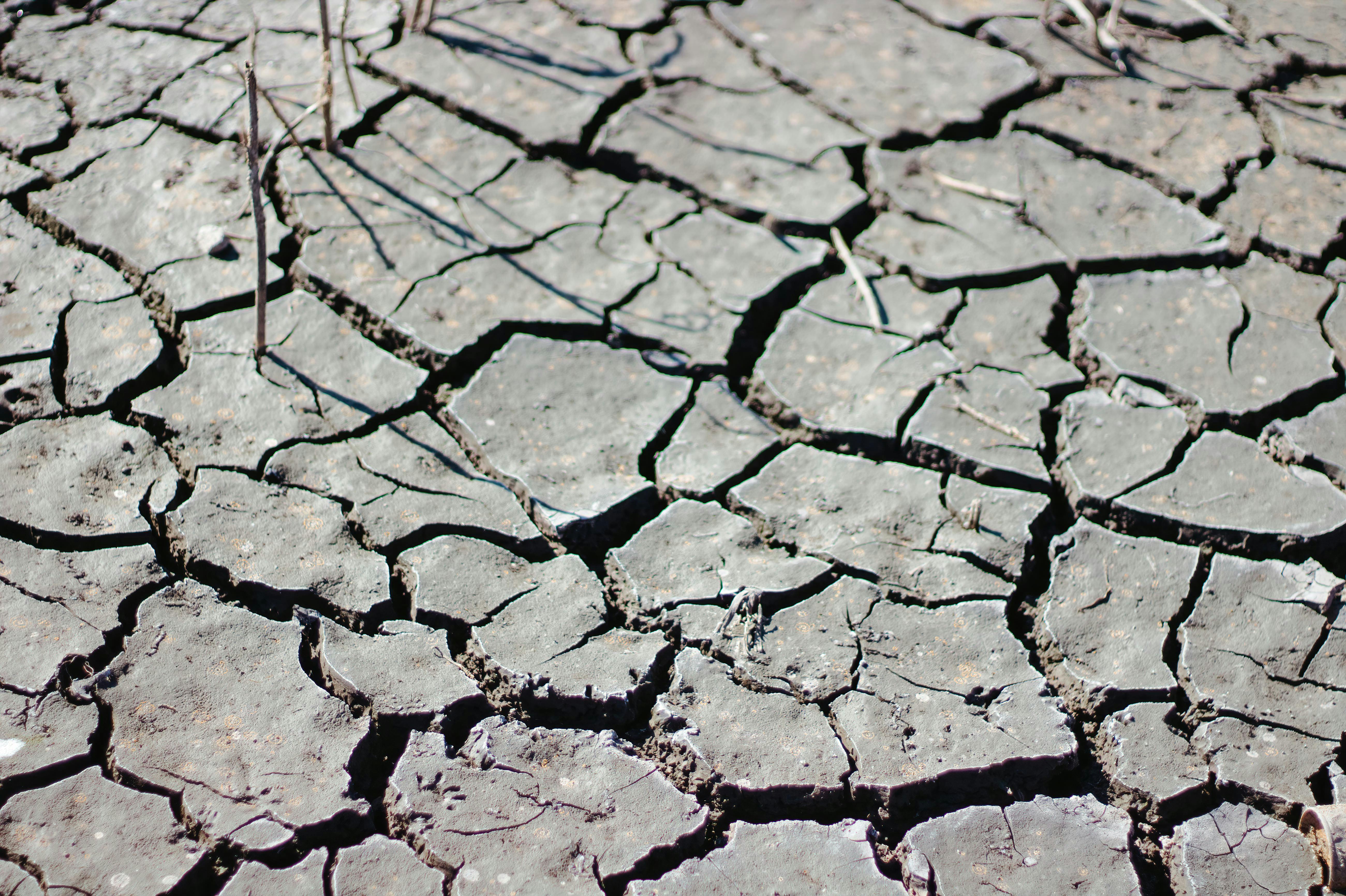 Gratuit Photos gratuites de argile, changement climatique, craquelure Photos
