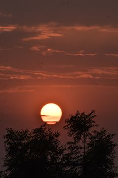 Dramatic sunset with silhouetted trees and vibrant sky in Raipur, India.