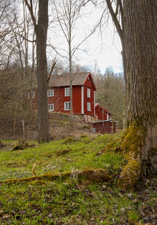 Kostenloses Stock Foto zu außerorts, bauernhof, gras