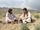 balochistan