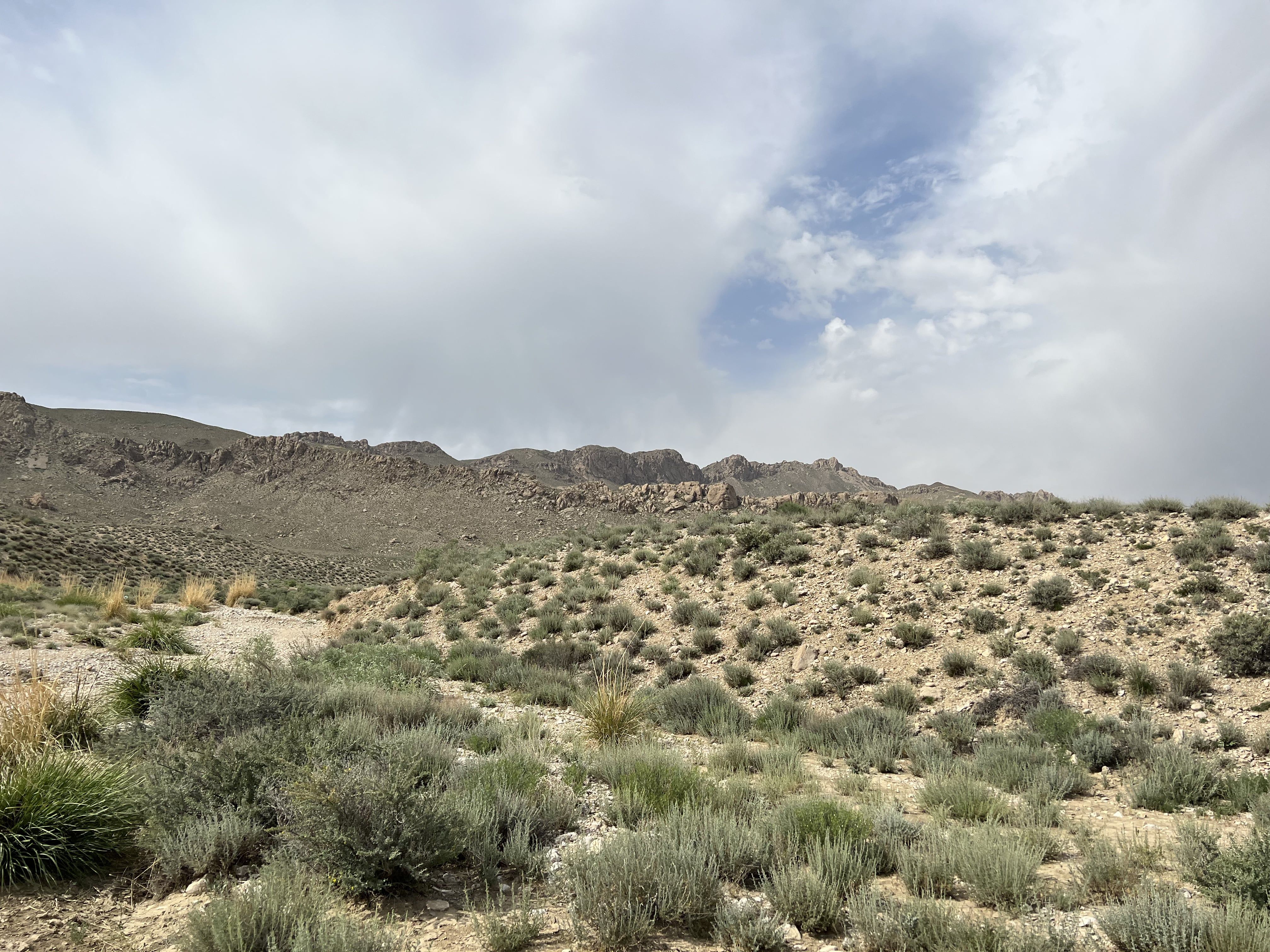 A scenic view of arid hills and natural vegetation in Quetta, Balochistan, Pakistan.
