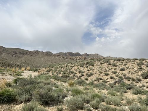 Free A scenic view of arid hills and natural vegetation in Quetta, Balochistan, Pakistan. Stock Photo