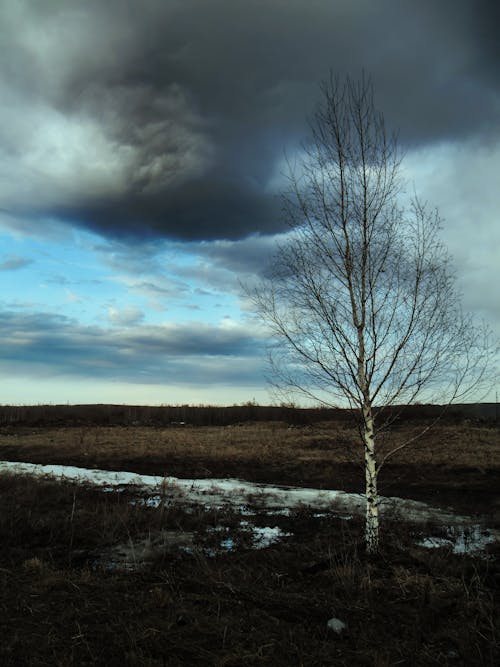 Foto stok gratis angin ribut, awan gelap, bidang