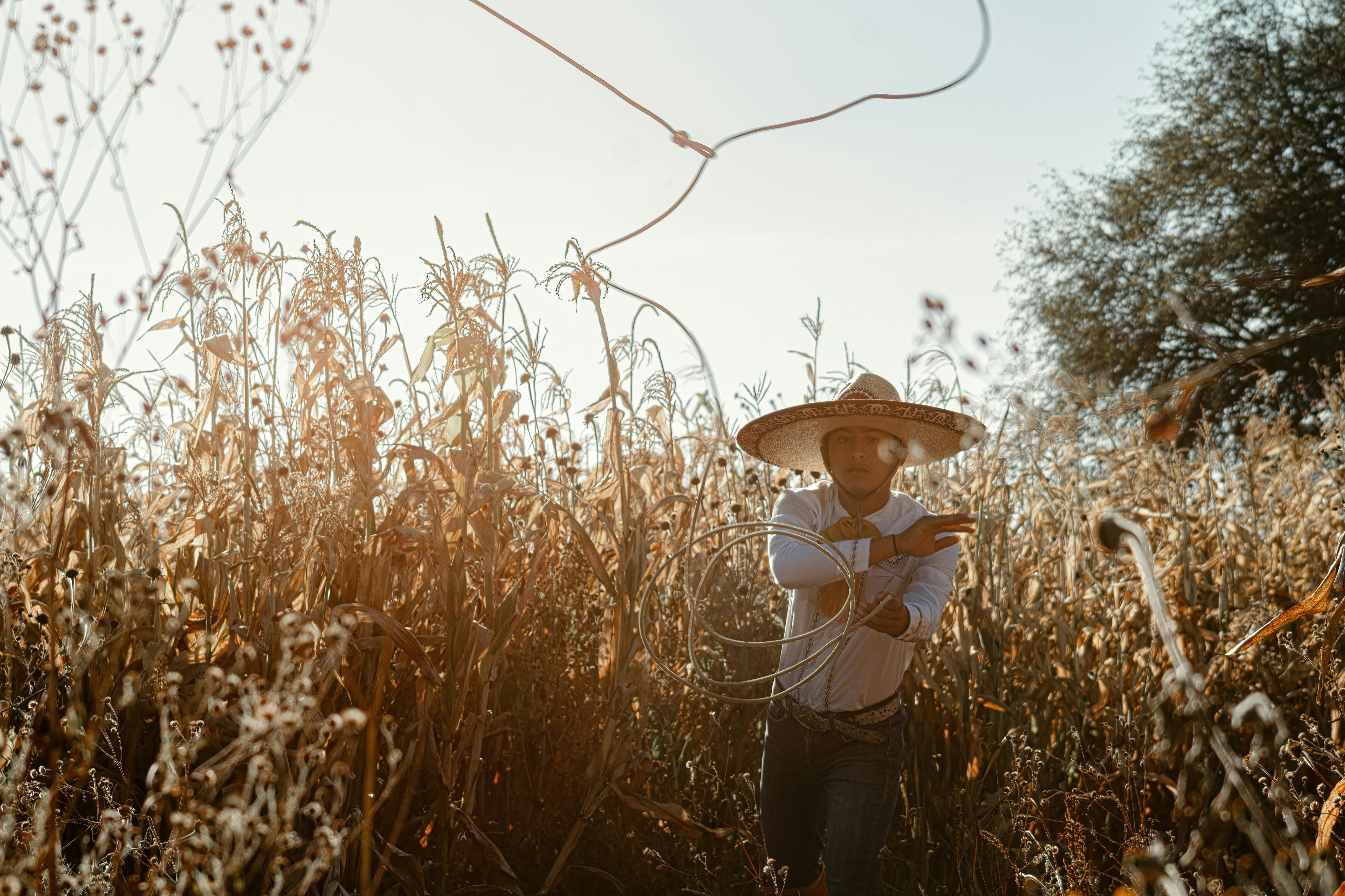 Lasso hi-res stock photography and images - Alamy