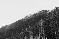 黑白拍摄下的冬季雪山和森林，呈现出戏剧性的效果