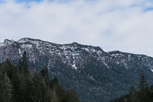 在多云的天空下，白雪皑皑的山峰与森林覆盖的山脉构成壮丽景色