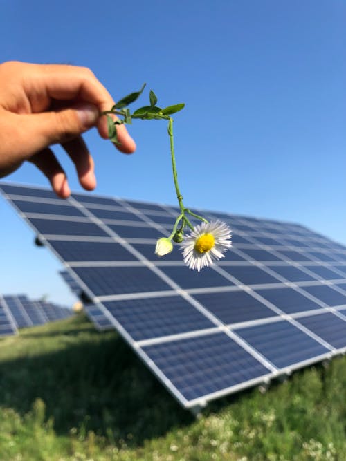 Photovoltaic Panel