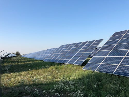 Solar Panels in a Field 