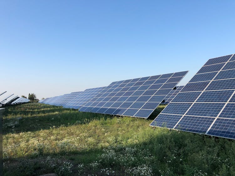 Solar Panels In A Field 