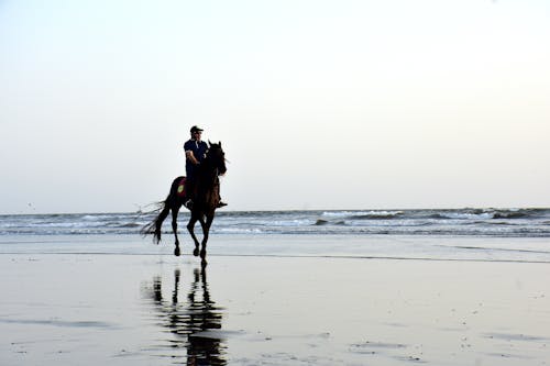 Man Riding a Horse on a Beach 