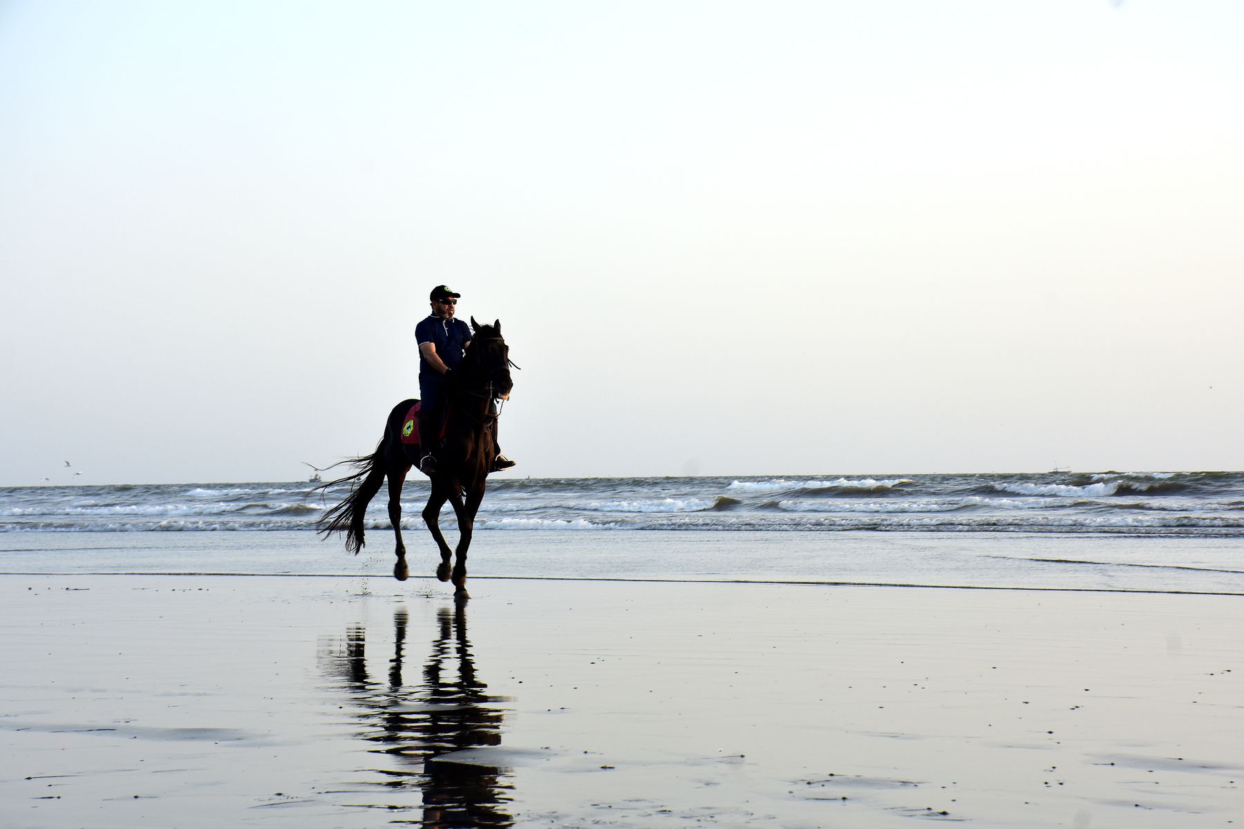 Man riding a horse along a beach in Karachi, Pakistan during the day.