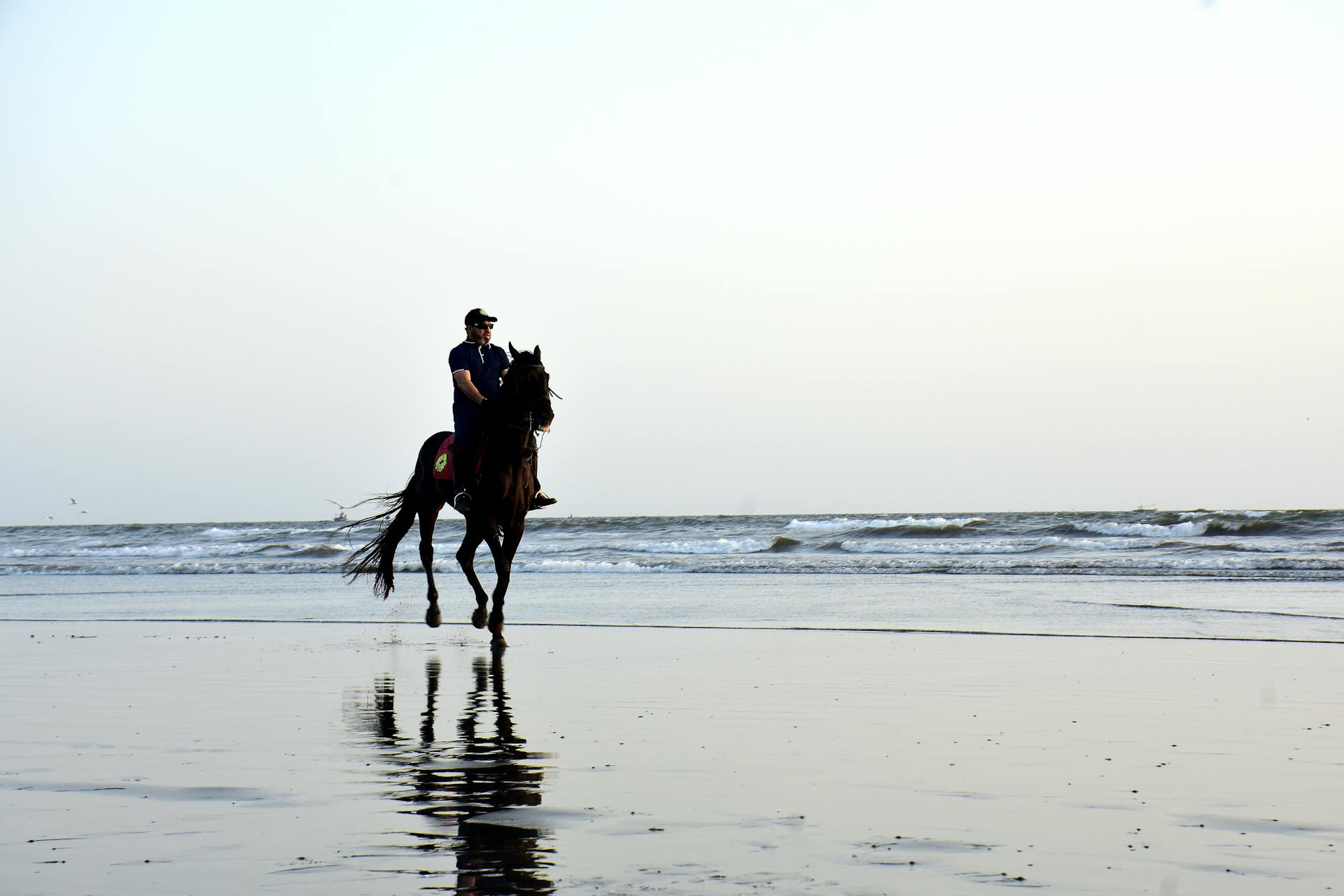 Man riding a horse along a beach in Karachi, Pakistan during the day.
