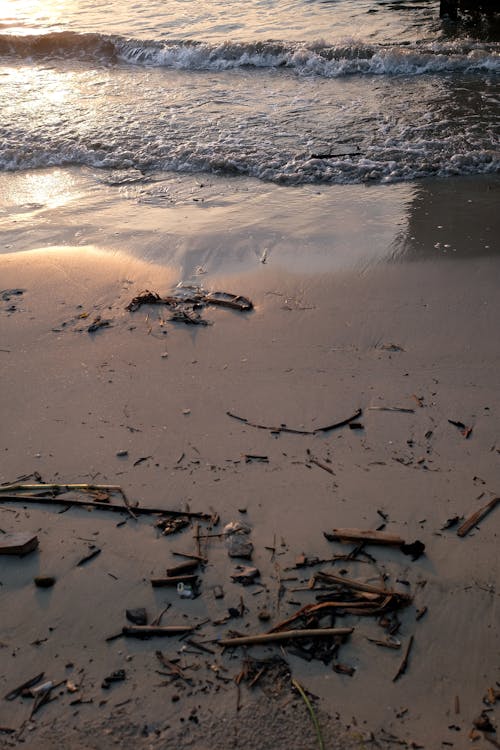 Darmowe zdjęcie z galerii z brązowy piasek, brzeg plaży, duże fale